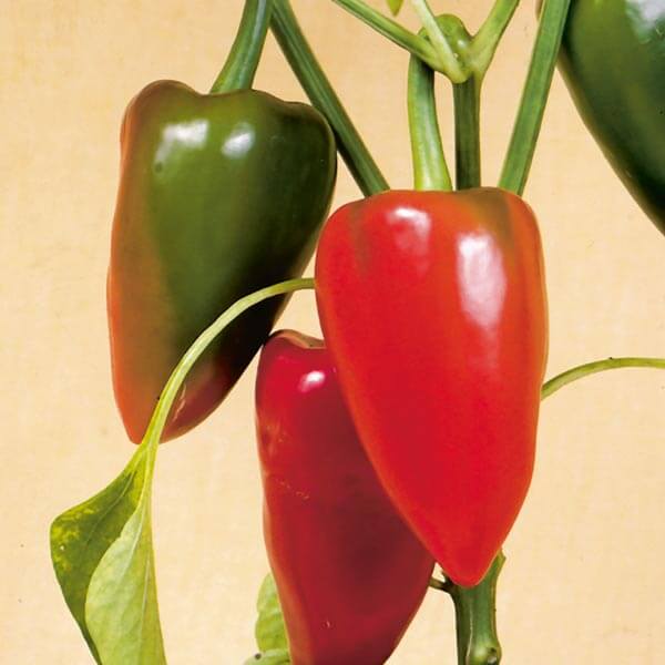 product-25