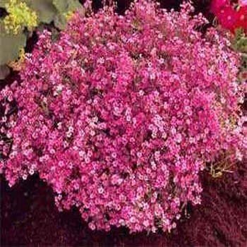 product-276