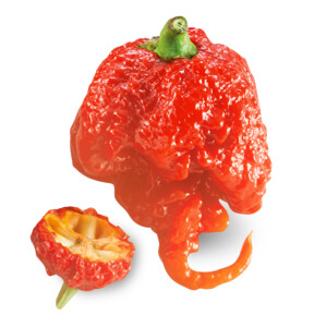 product-1218