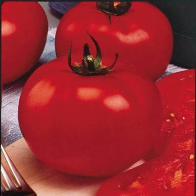 product-1262