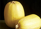 Spaghetti Squash Seeds 