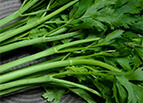 Conquistador Celery Seeds 