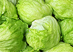 Iceberg Lettuce Seeds 