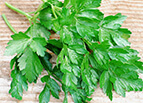 Italian Dark Green Parsley Seeds 