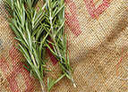 Rosemary Seeds 
