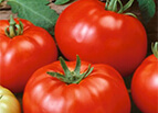 Beefsteak Tomato Seeds