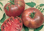 Cherokee Purple Tomato Seeds