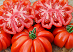 Rosso Sicilian Tomato Seeds