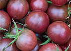 Rosella Cherry Tomato Seeds