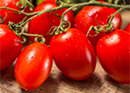 La Roma IV F1 Hybrid Tomato Seeds