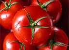 Jet Star F1 Hybrid Tomato Seeds