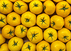 Lemon Boy Plus F1 Hybrid Tomato Seeds