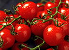 Suncherry Extra Sweet F1 Hybrid Japanese Cherry Tomato Seeds
