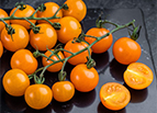 SunSugar F1 Hybrid Tomato Seeds