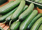 English Telegraph Cucumber Seeds