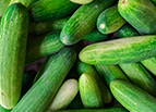 Muncher Cucumber Seeds
