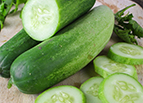 Ashley Cucumber Seeds