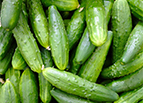 Marketmore 76 Cucumber Seeds