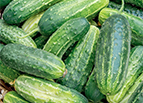 National Pickling Cucumber Seeds