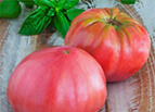Pink Brandywine Tomato Seeds