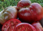 Black Krim Tomato Seeds 