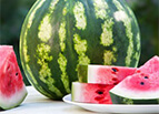 Crimson Sweet Watermelon Seeds 