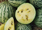 Yellow Petite Watermelon Seeds 