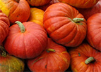 Cinderella Pumpkin Seeds 