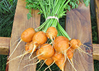 Parisian Carrot Seeds 