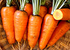 Red Cored Chantenay Carrot Seeds 