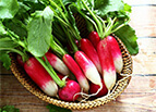 French Breakfast Radish Seeds 