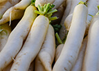Miyashige Daikon White Radish Seeds 