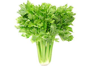 Celery Seeds