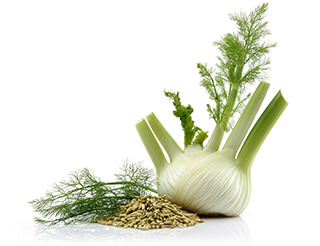 Fennel Seeds