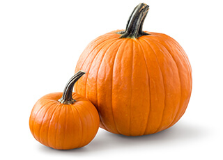 Pumpkin Seeds