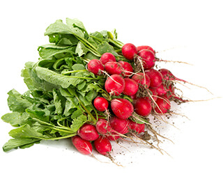 Radish Seeds