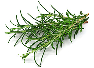 Rosemary Seeds