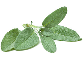 Sage Seeds