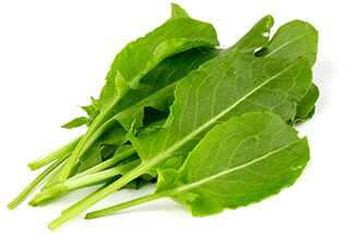 Sorrel Seeds
