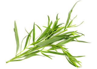 Tarragon Seeds